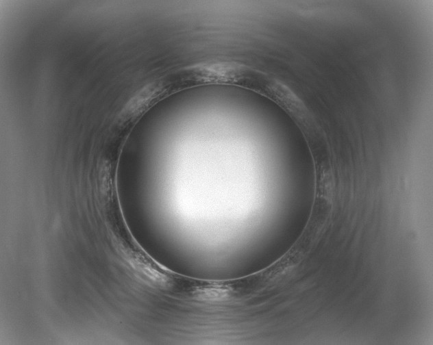 X0000080150318200612081328
