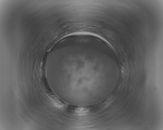 X0000080150319200612081328