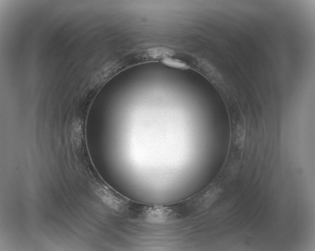 X0000080150321200612081328
