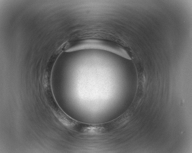 X0000080150323200612081328