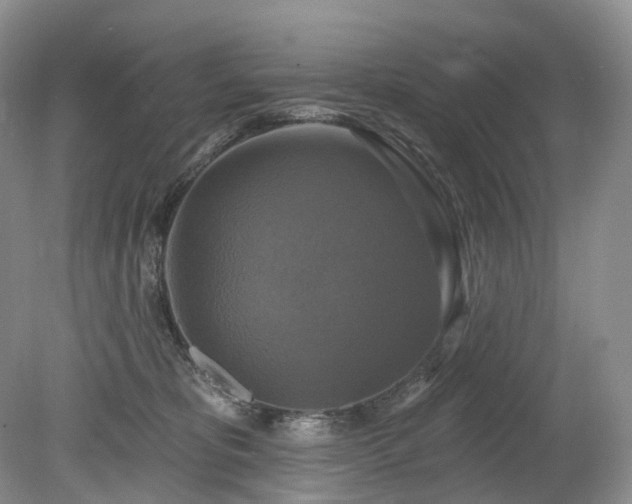 X0000080150325200612081328