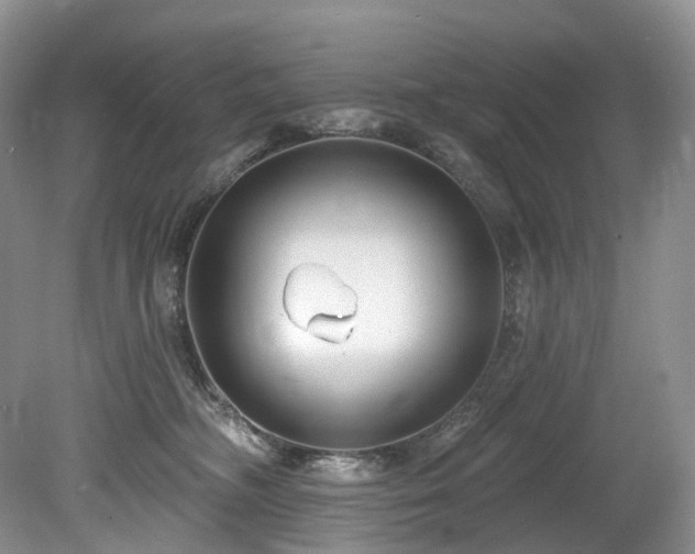 X0000080150326200612081328