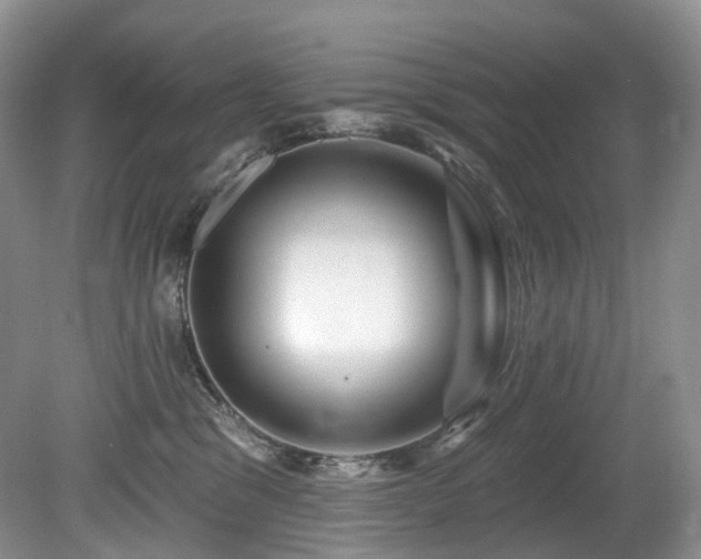 X0000080150329200612081328