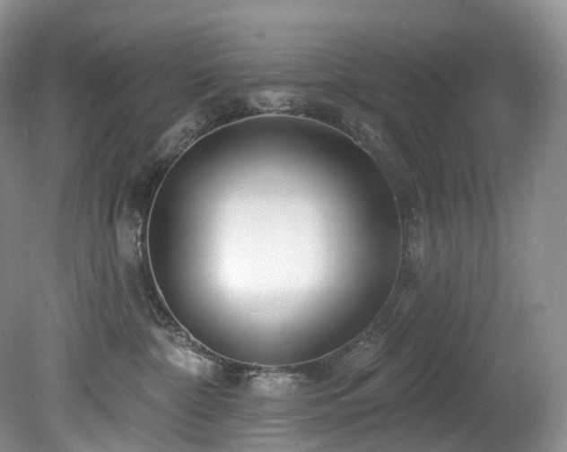 X0000080150332200612081328