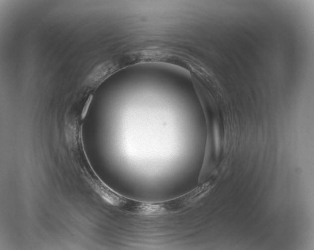 X0000080150333200612081328