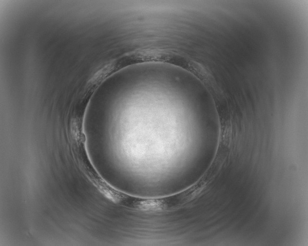 X0000080150335200612081328