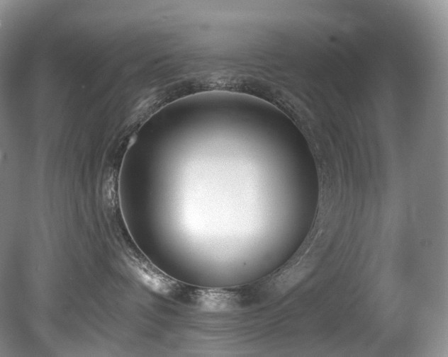 X0000080150336200612081328