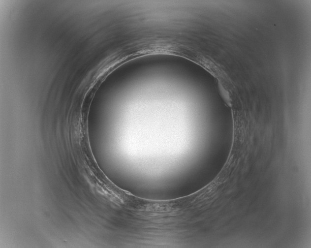 X0000080150338200612081327