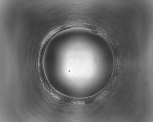 X0000080150340200612081327