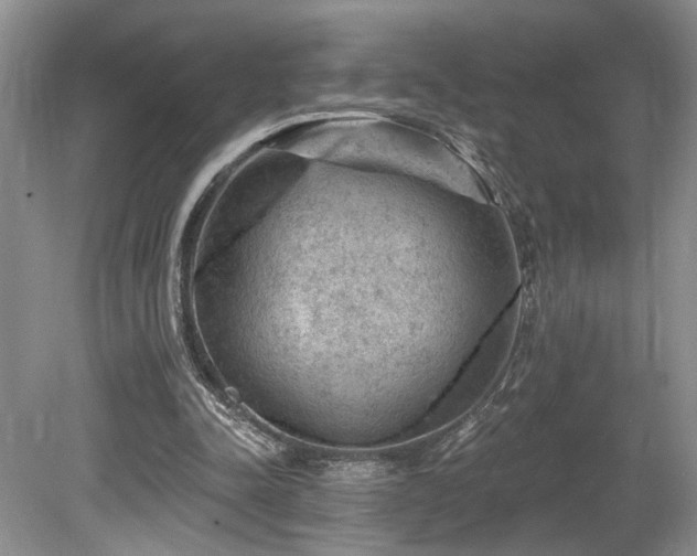 X0000080150342200612081327