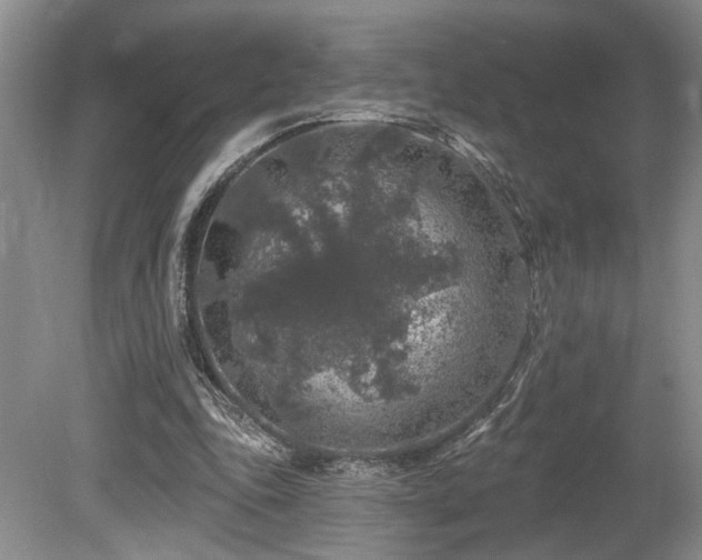 X0000080150343200612081327