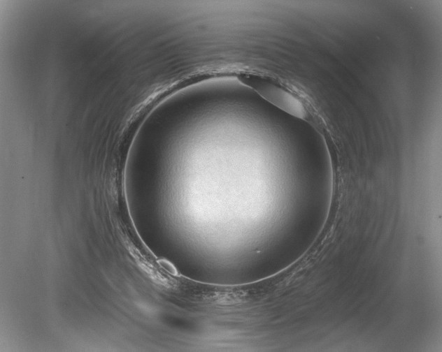 X0000080150345200612081327