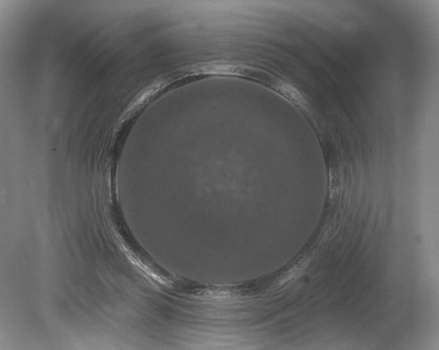 X0000080150349200612081327