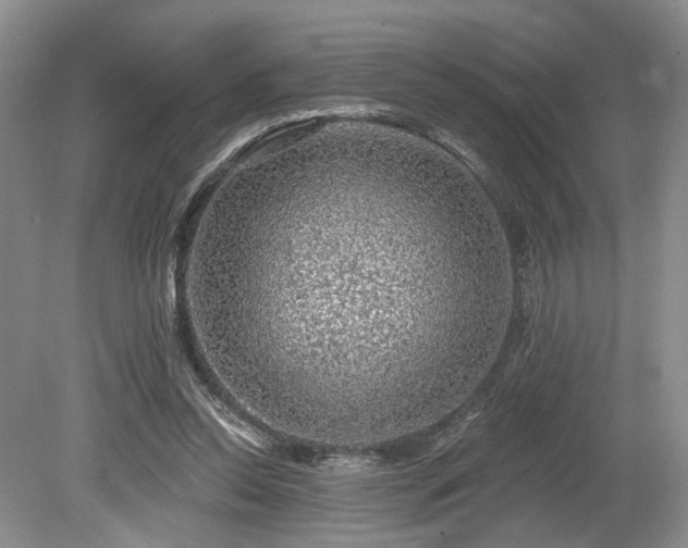 X0000080150350200612081327