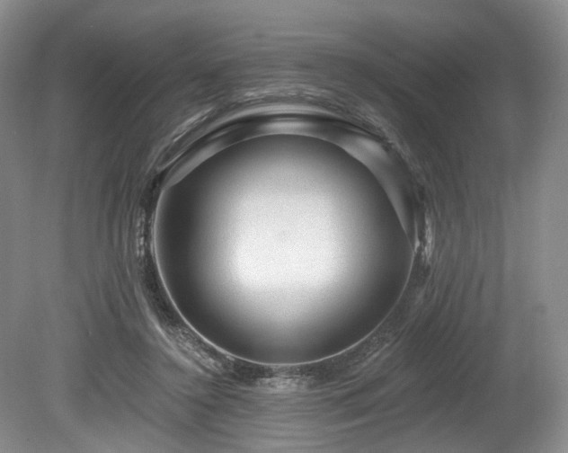 X0000080150356200612081328