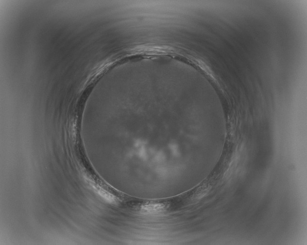 X0000080150357200612081328