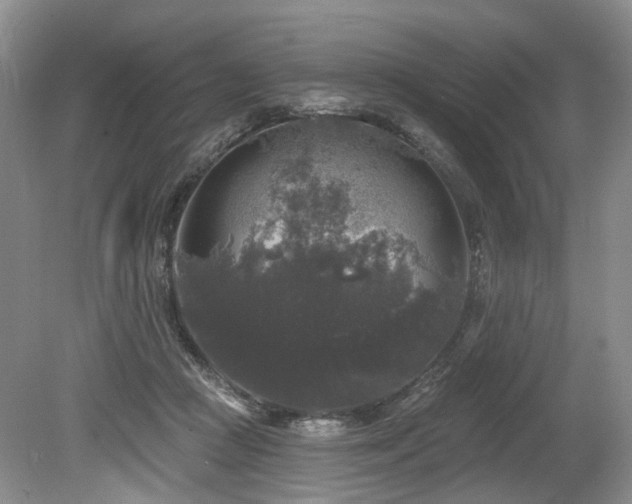 X0000080150361200612081328