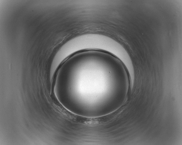 X0000080150362200612081328