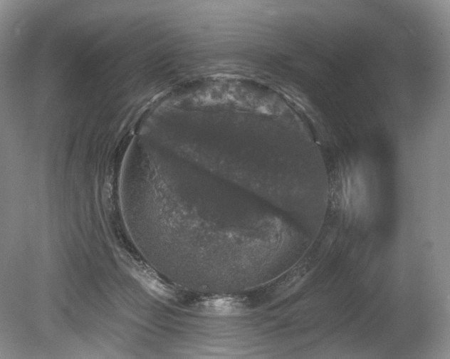 X0000080150365200612081328