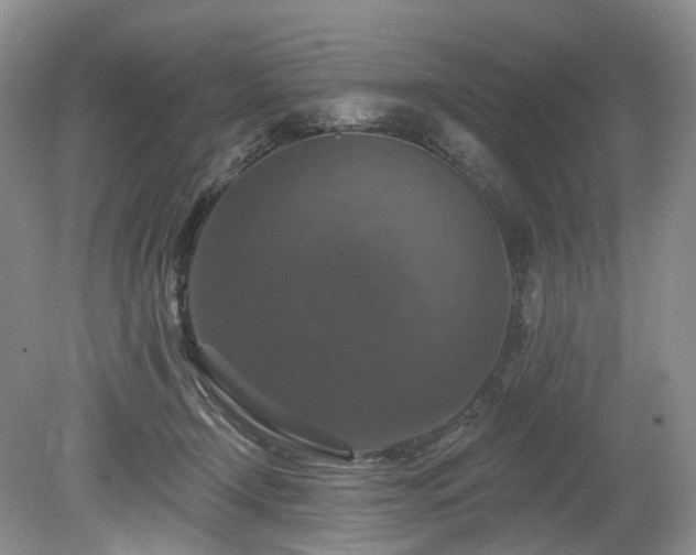 X0000080150366200612081328