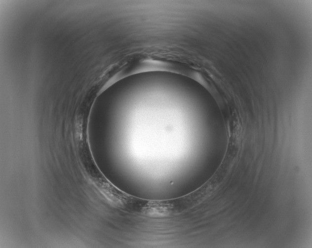 X0000080150368200612081328