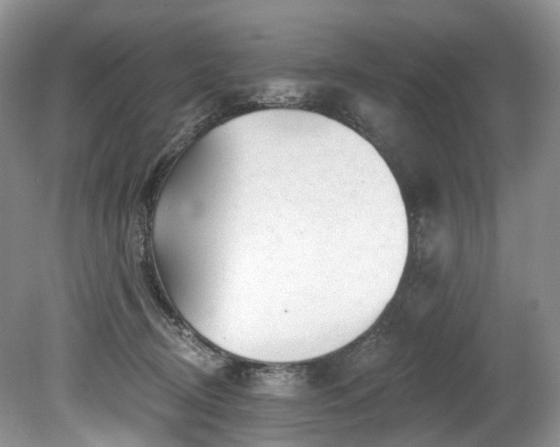 X0000080150370200612081328