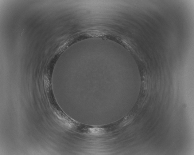 X0000080150371200612081328