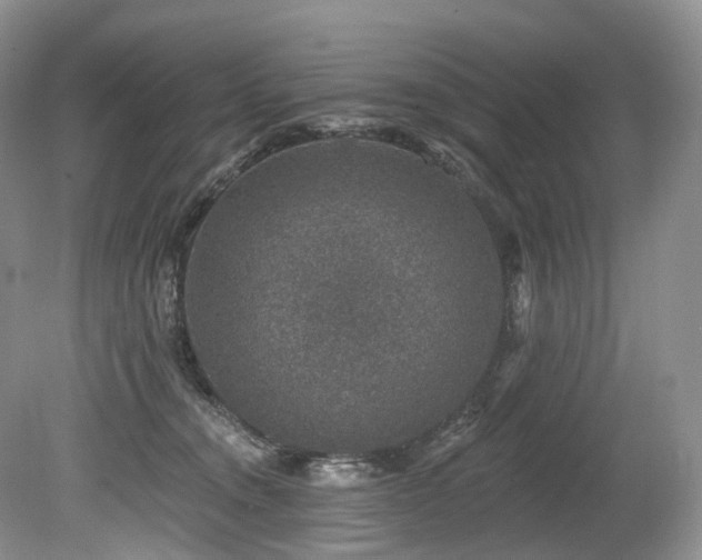 X0000080150372200612081328