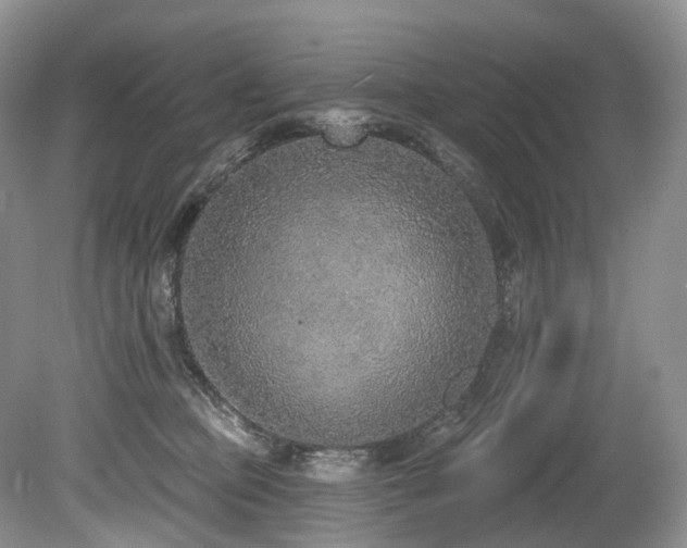 X0000080150373200612081328