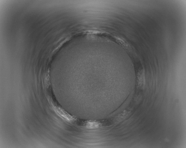 X0000080150376200612081328