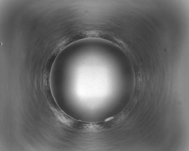 X0000080150379200612081328