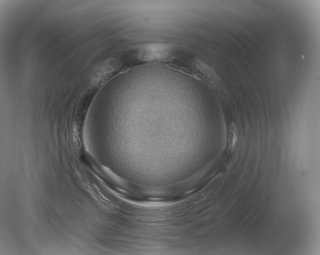 X0000080150380200612081328