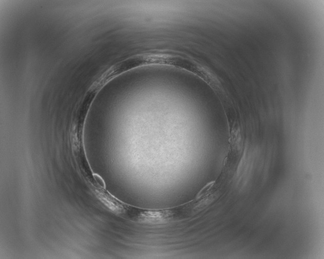 X0000080150381200612081328