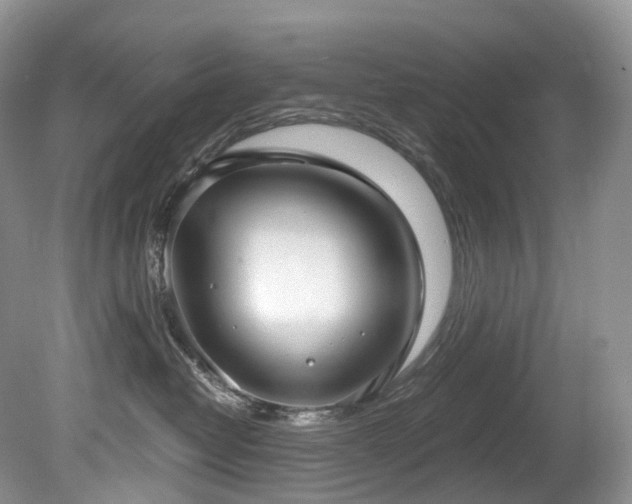 X0000080150382200612081328