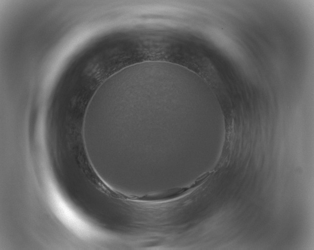 X0000080150383200612081328