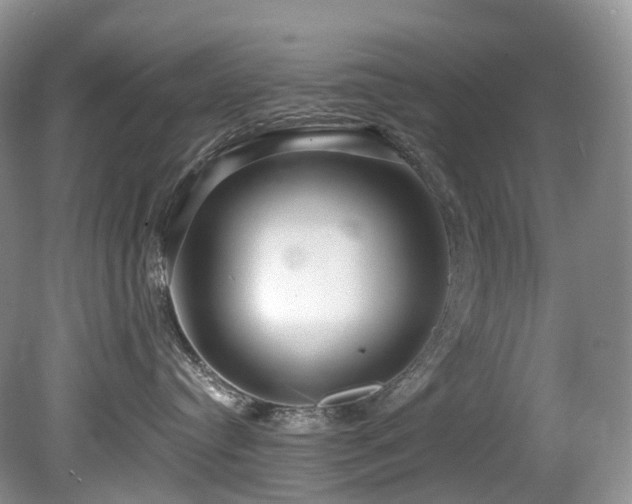 X0000080150384200612081328