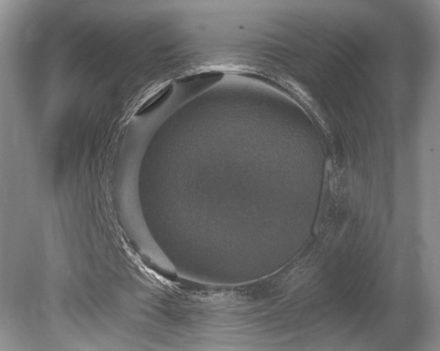 X0000080150385200612081327