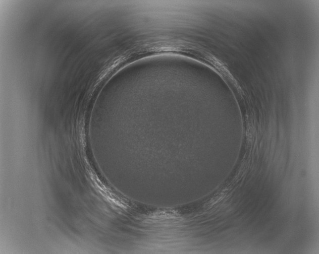X0000080150386200612081327