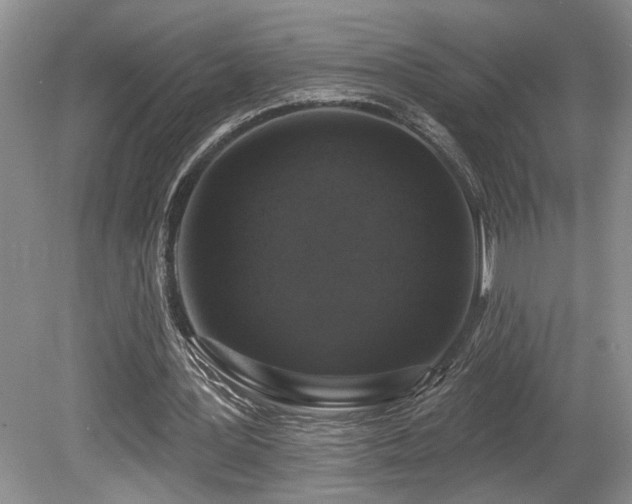 X0000080150387200612081327