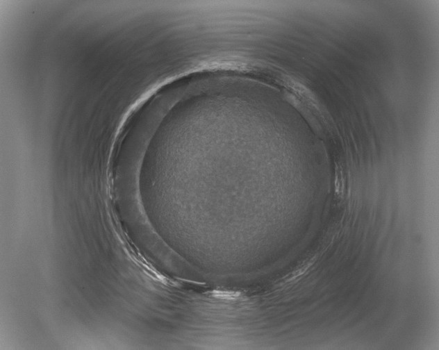 X0000080150388200612081327