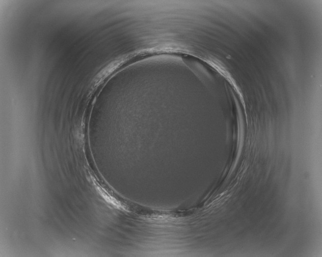 X0000080150389200612081327