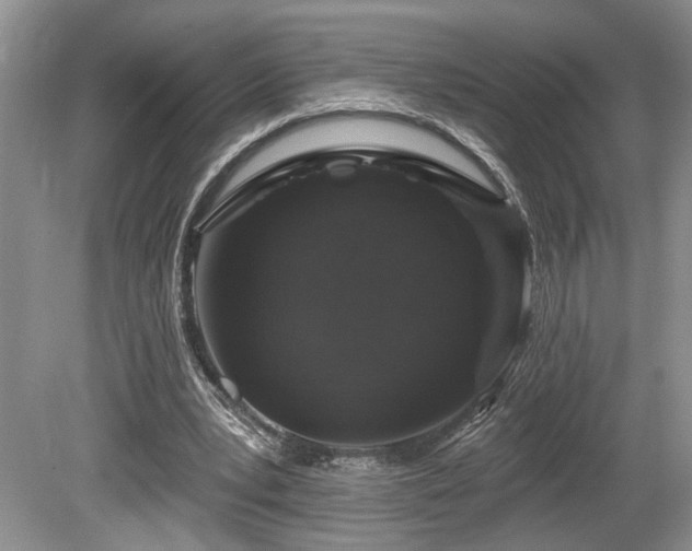 X0000080150391200612081327