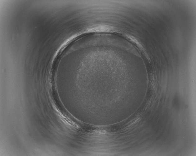 X0000080150392200612081327