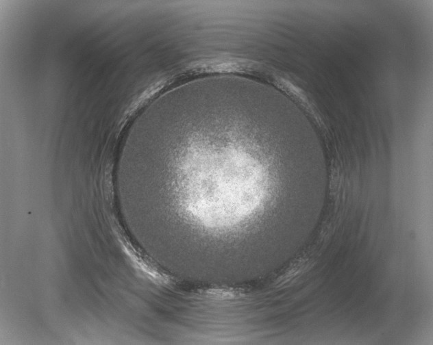 X0000080150394200612081327