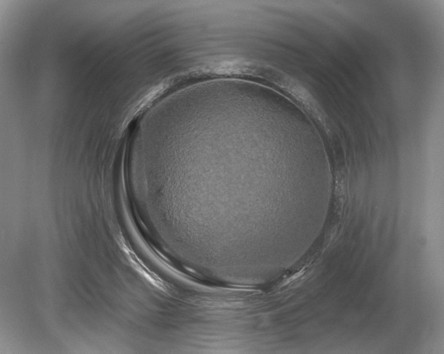 X0000080150397200612081327