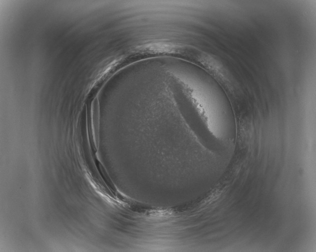 X0000080150398200612081327
