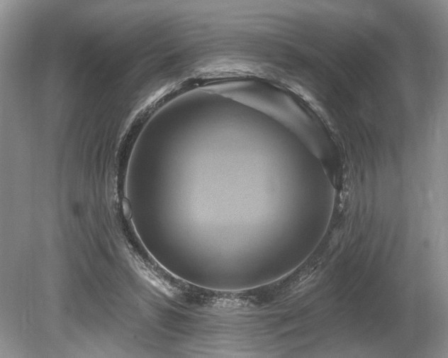 X0000080150399200612081327