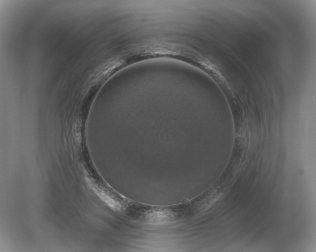 X0000080150402200612081327
