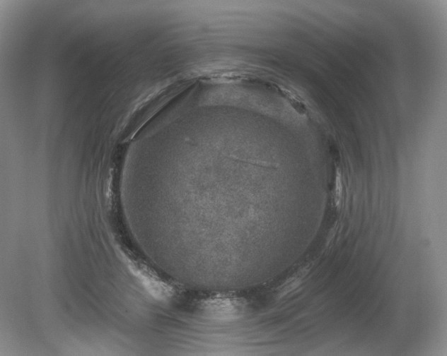 X0000080150404200612081327