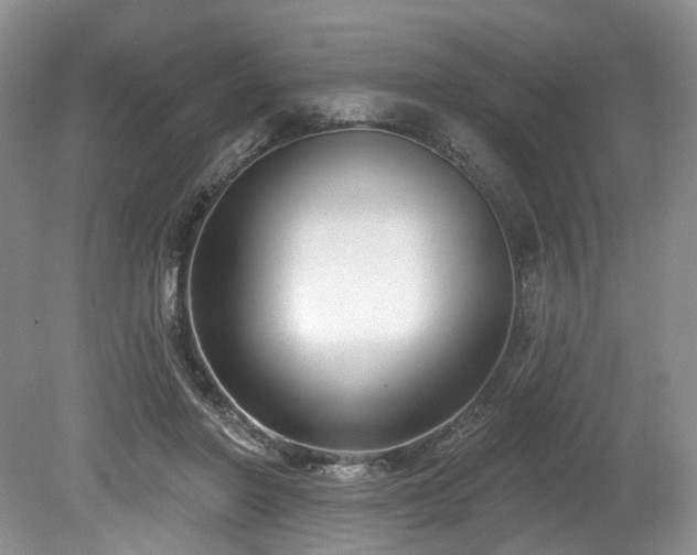 X0000080150406200612081327